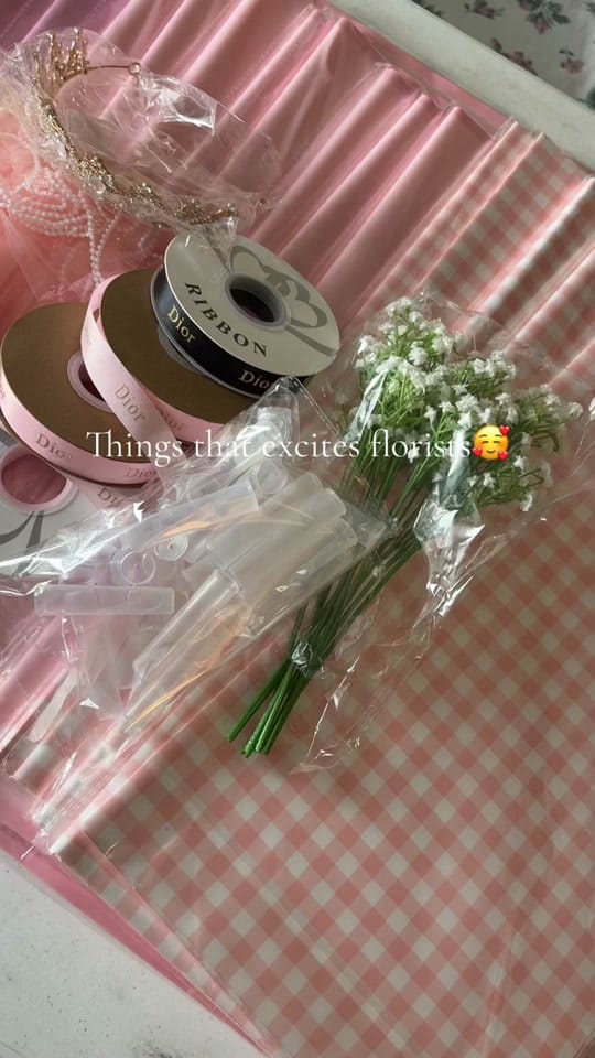 Post 7 by Stef🎀 on TikTok (video)