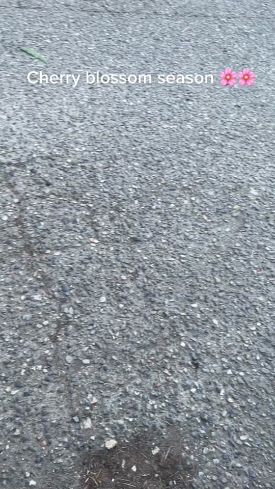 Post 3 by Ej on TikTok (video)