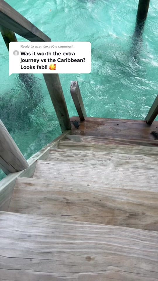 Post 8 by Ellen Siegel on TikTok (video)