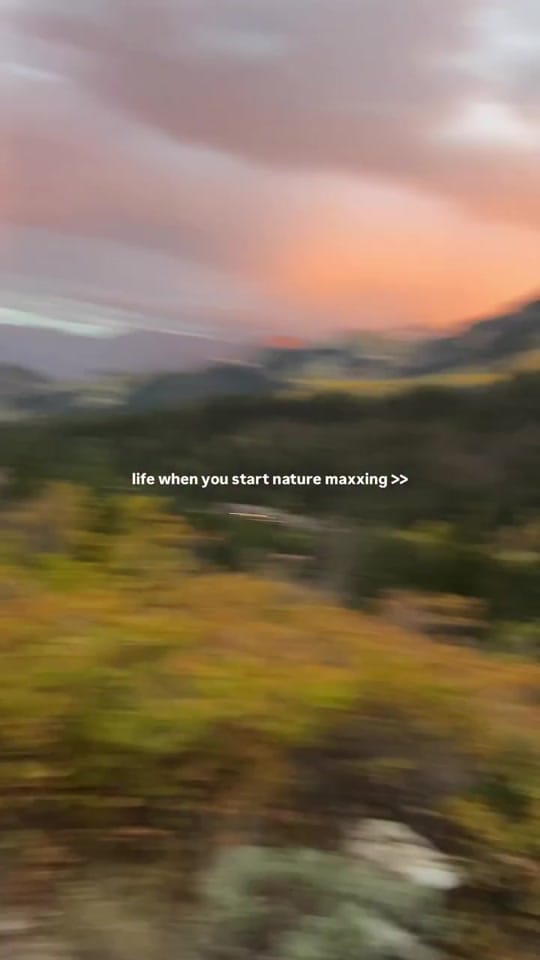 Post 4 by grant | solo travel on TikTok (video)