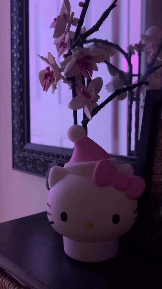Post 10 by bre on TikTok (video)