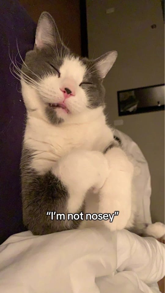 Post 2 by bre on TikTok (video)