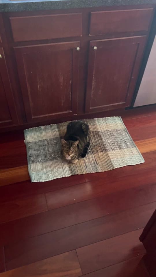 Post 1 by bre on TikTok (video)