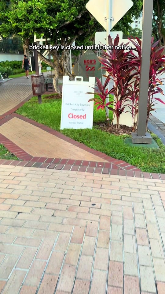 Post 9 by Michelle Guerard on TikTok (video)