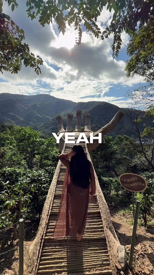 Post 6 by Michelle Guerard on TikTok (video)