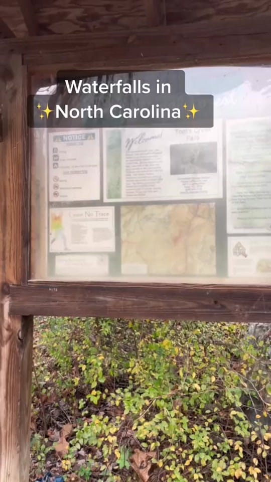 Post 5 by Rachel on TikTok (video)