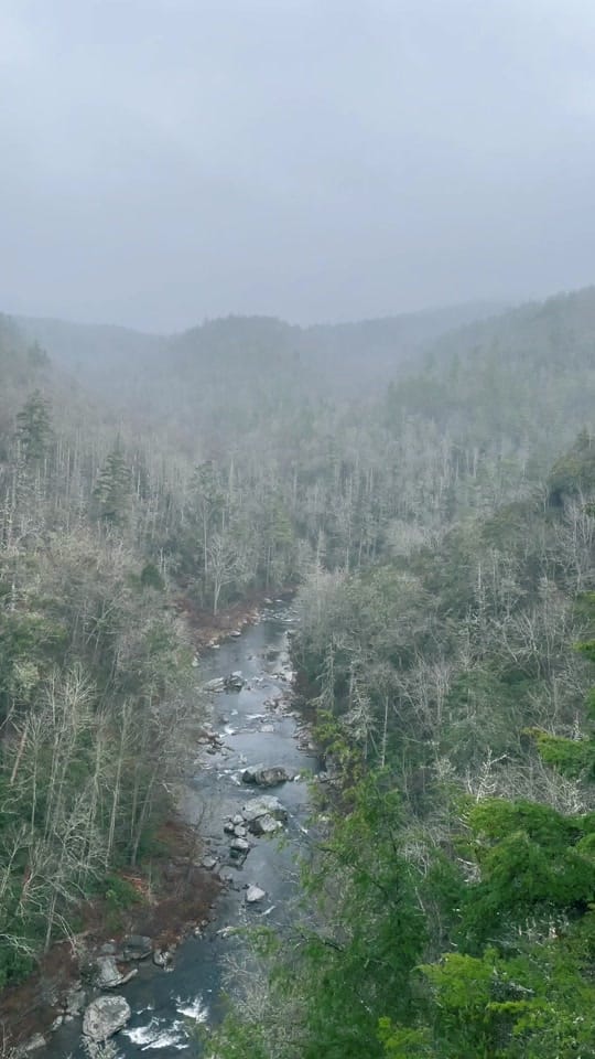 Post 6 by Rachel on TikTok (video)