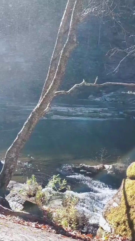 Post 4 by Rachel on TikTok (video)