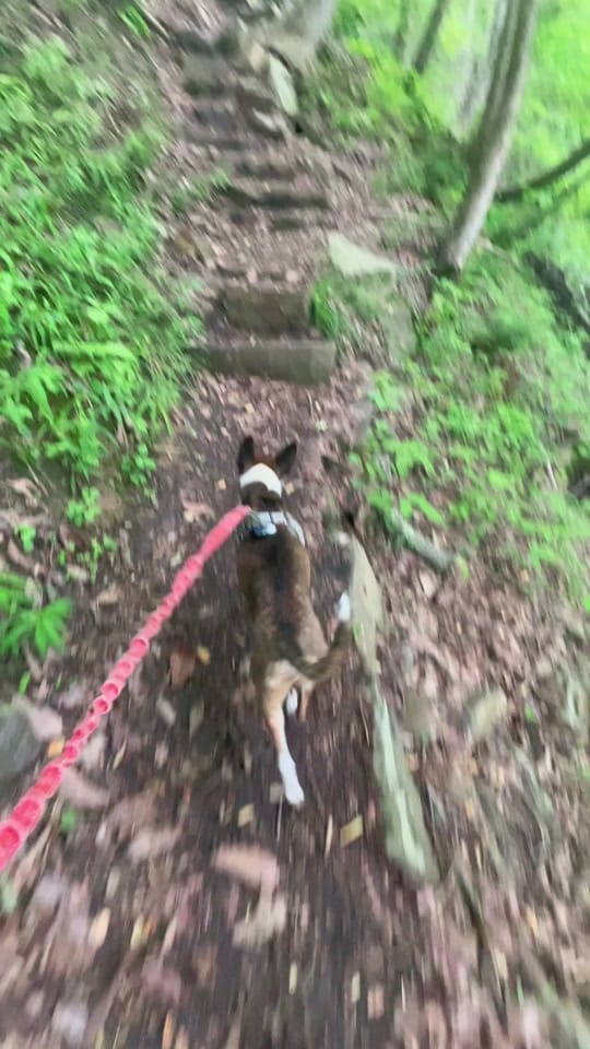 Post 1 by Rachel on TikTok (video)