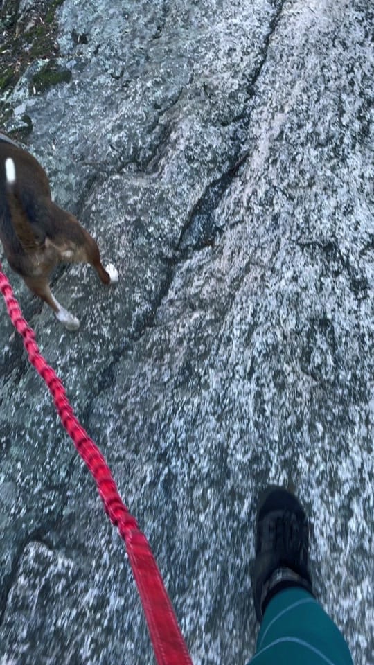Post 7 by Rachel on TikTok (video)