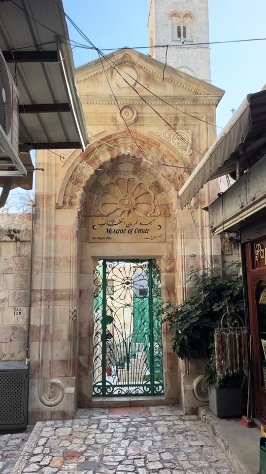 Post 9 by Mira_BO on TikTok (video)