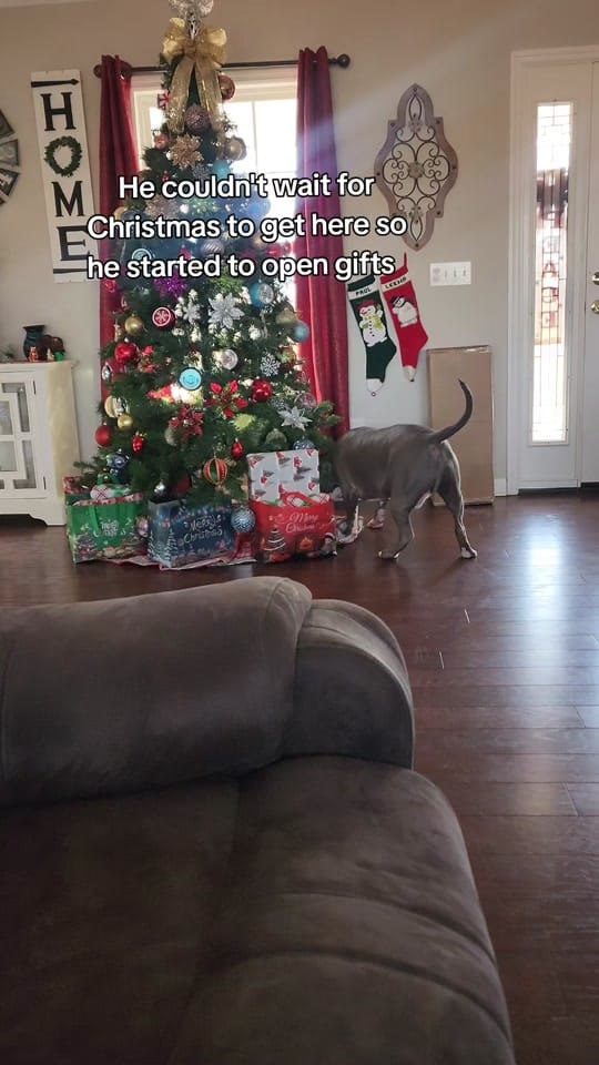Post 8 by Leena Hobbs on TikTok (video)