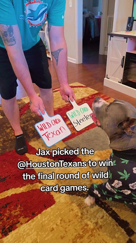 Post 7 by Leena Hobbs on TikTok (video)