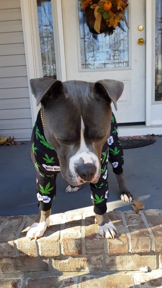 Post 10 by Leena Hobbs on TikTok (video)