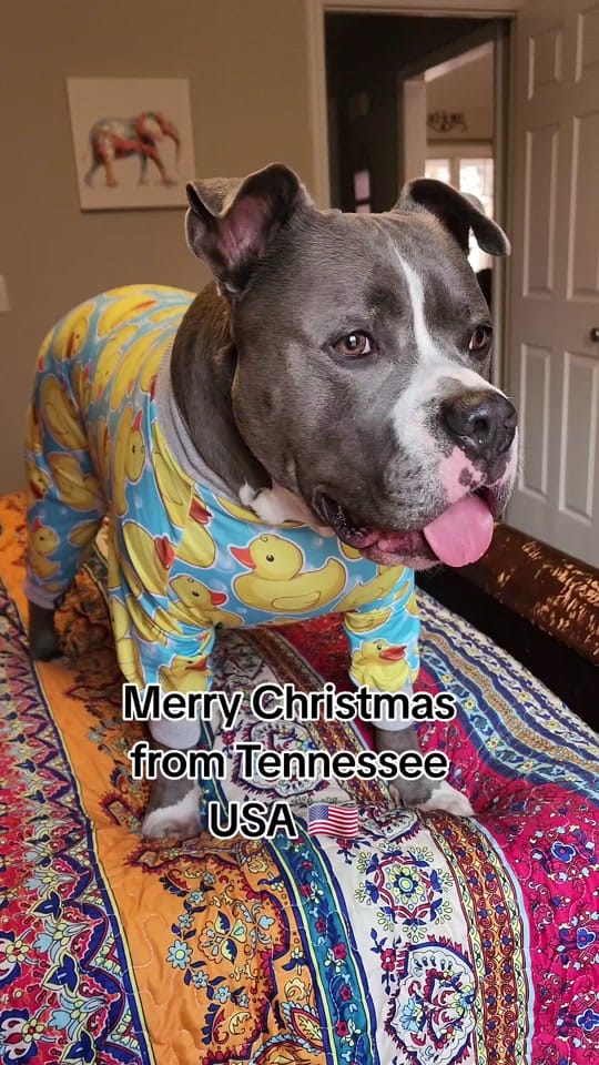 Post 9 by Leena Hobbs on TikTok (video)