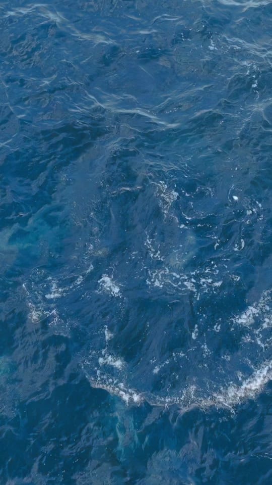 Post 7 by TheOceanTourist on TikTok (video)