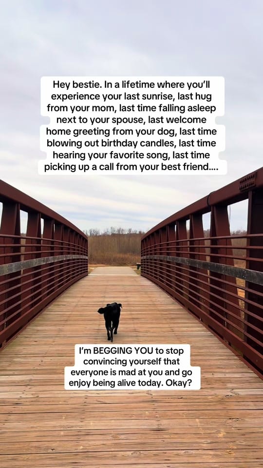 Post 9 by MARGARET ANNE NEAL on TikTok (video)