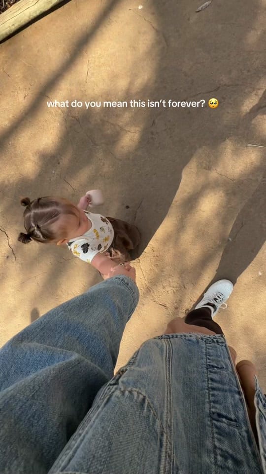 Post 5 by Nicole the Nomad on TikTok (video)