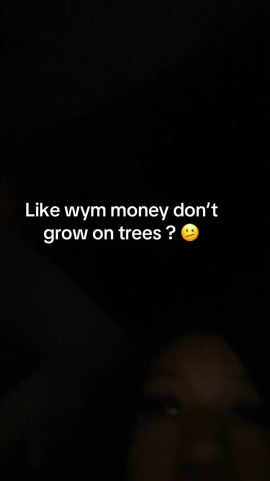 Post 5 by Reneebeats on TikTok (video)