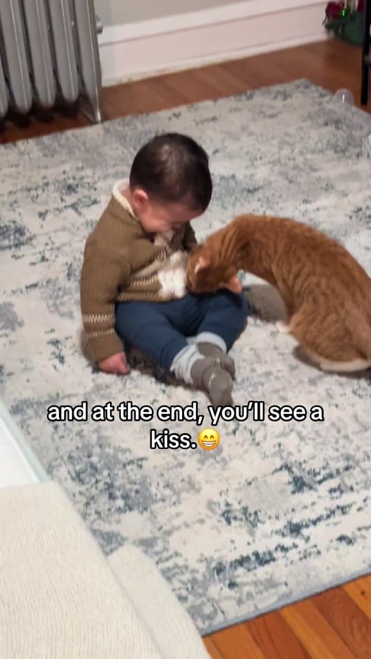 Post 5 by Diana&her cat Lucky on TikTok (video)