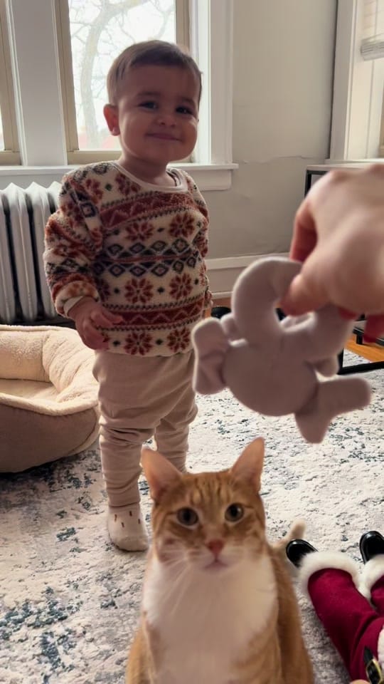 Post 3 by Diana&her cat Lucky on TikTok (video)