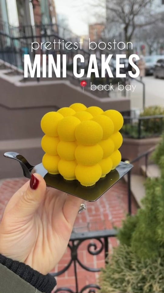 Post 8 by Boston Foodgram on TikTok (video)