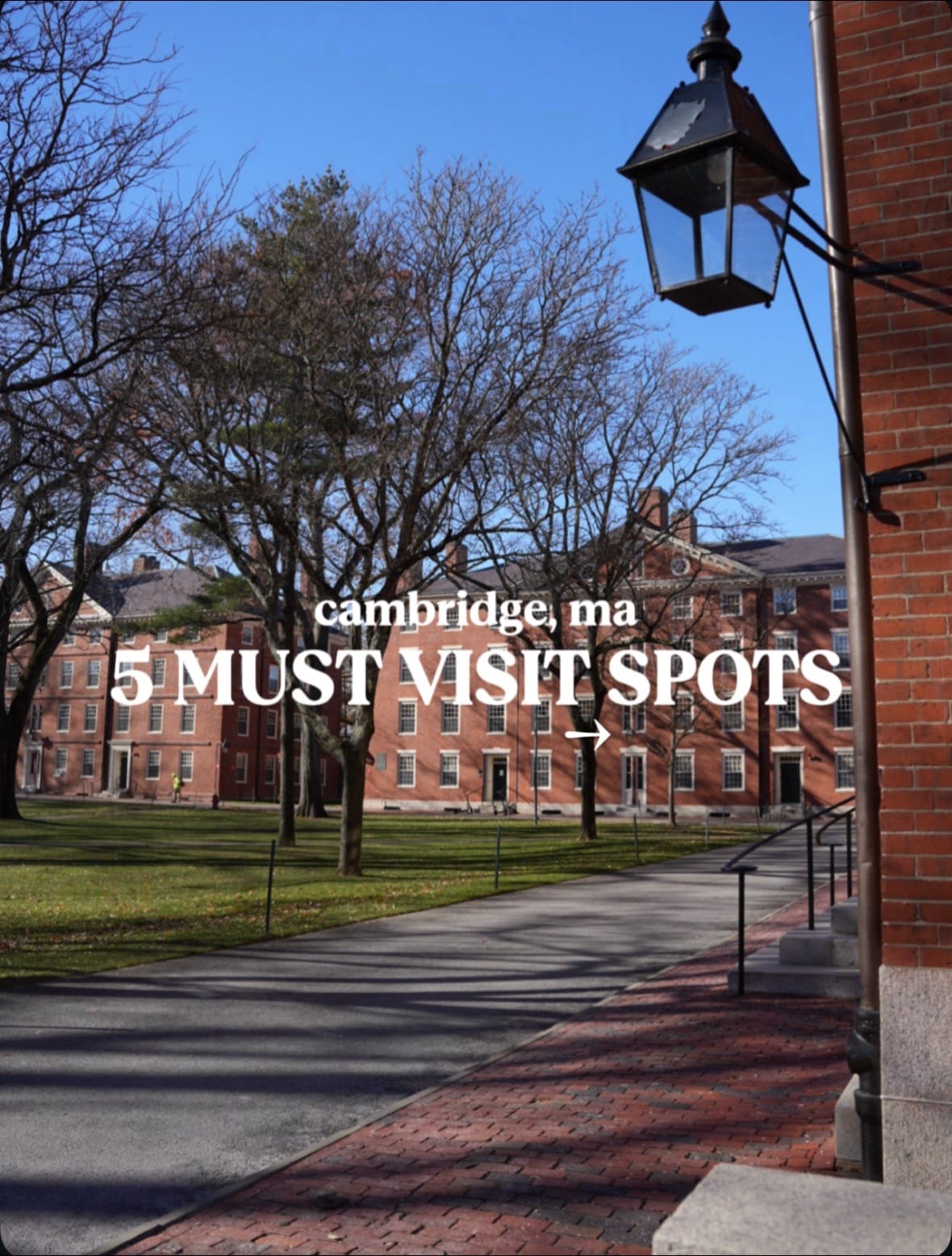 Post 6 by Boston Foodgram on TikTok (video)