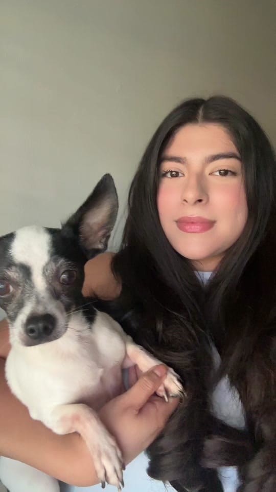 Post 7 by Joanna🩷🎀🌷🦢 on TikTok (video)