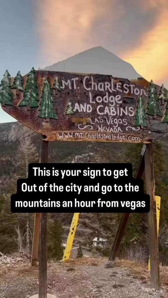 Post 9 by Heather Vegas on TikTok (video)