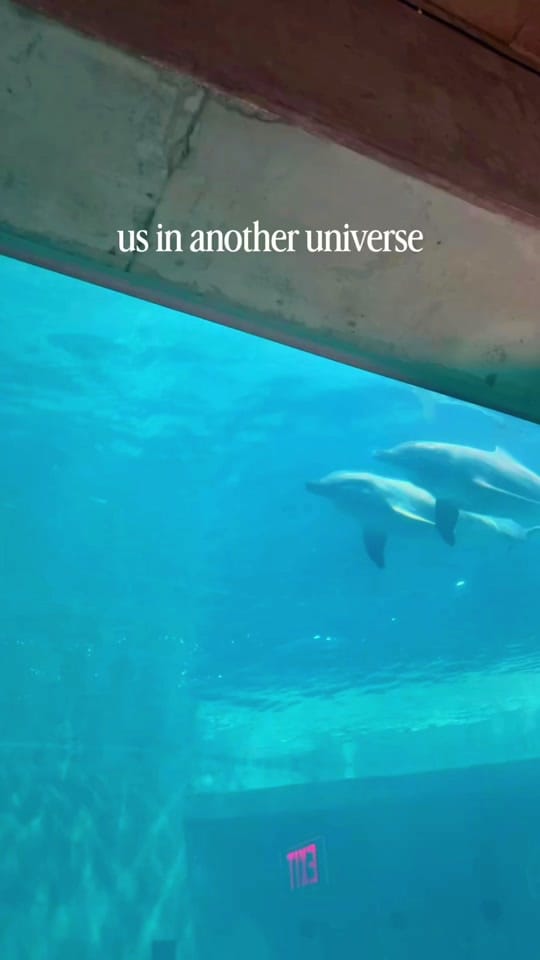 Post 5 by Lisa_ventures on TikTok (video)