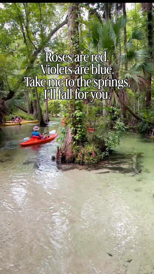 Post 1 by Lisa_ventures on TikTok (video)