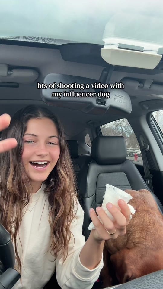 Post 1 by Elyse on TikTok (video)