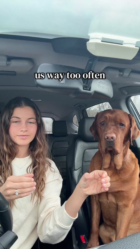 Post 3 by Elyse on TikTok (video)