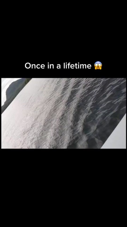 Post 10 by Seattle Refined on TikTok (video)
