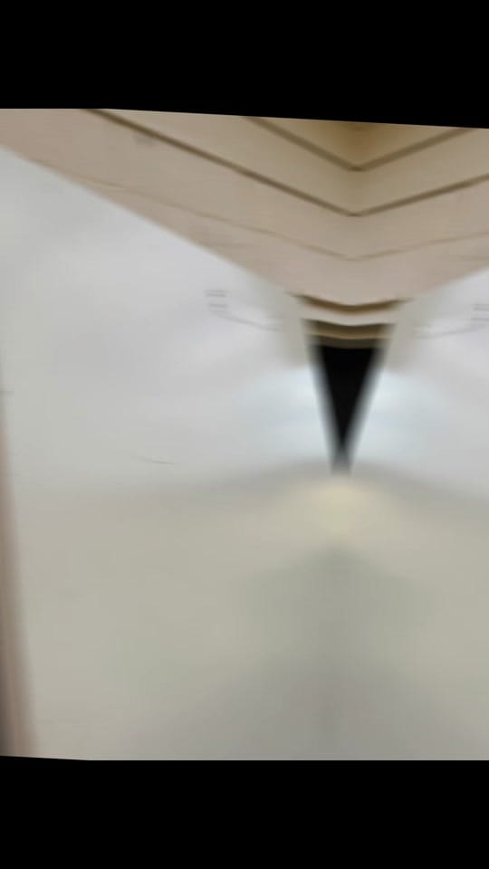 Post 7 by TheSimpleLifeMS on TikTok (video)
