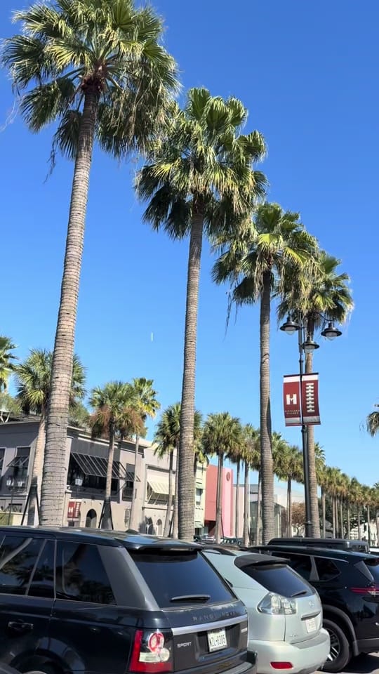 Post 4 by Ingy on TikTok (video)