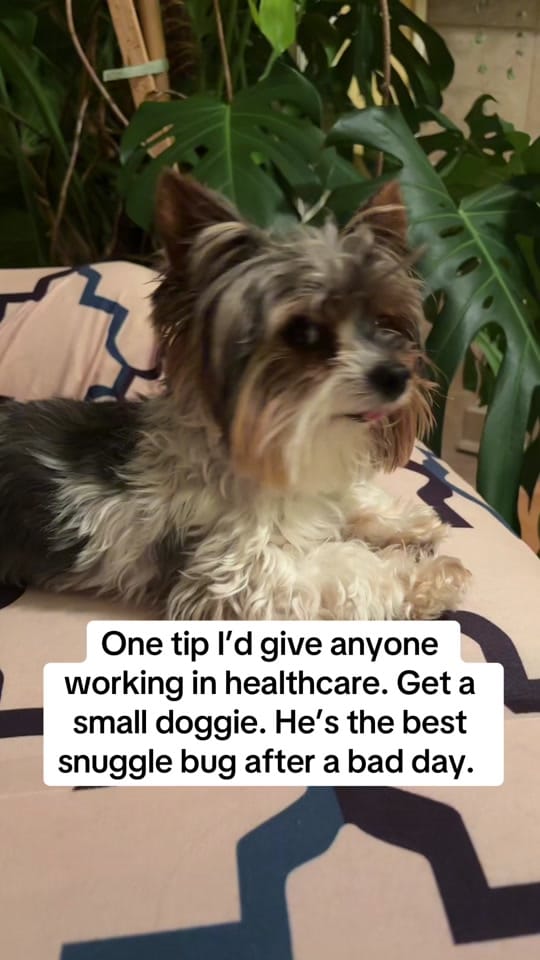 Post 6 by Dr. M 🤓 on TikTok (video)