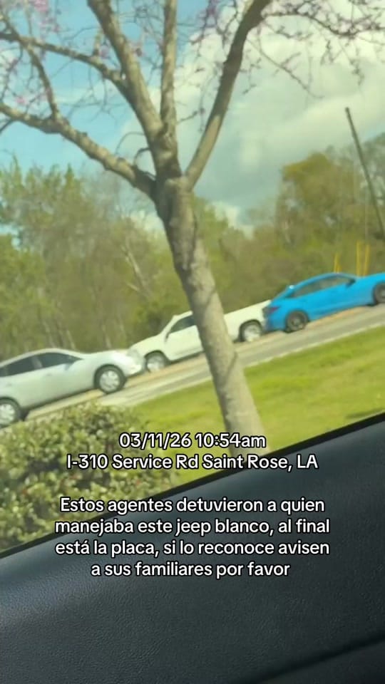 Post 4 by ⚜️Alejandra in New Orleans ⚜️ on TikTok (video)