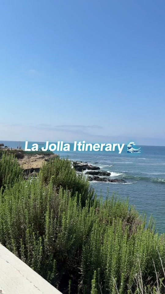 Post 7 by Frenchiemariee on TikTok (video)