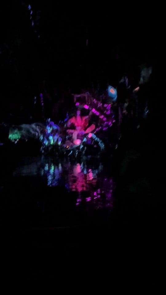 Post 7 by Chelsey Marie on TikTok (video)
