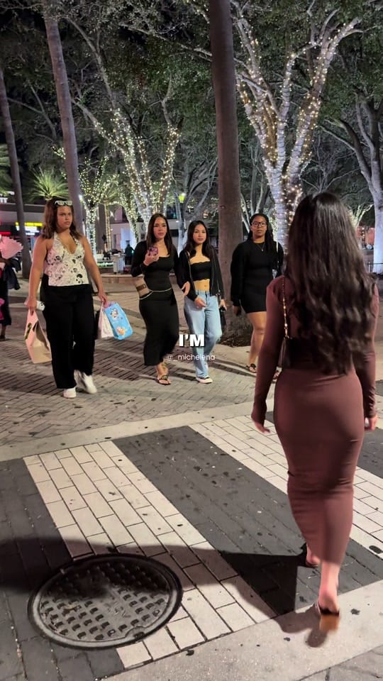 Post 9 by michelena ⋆₊˚☾ on TikTok (video)