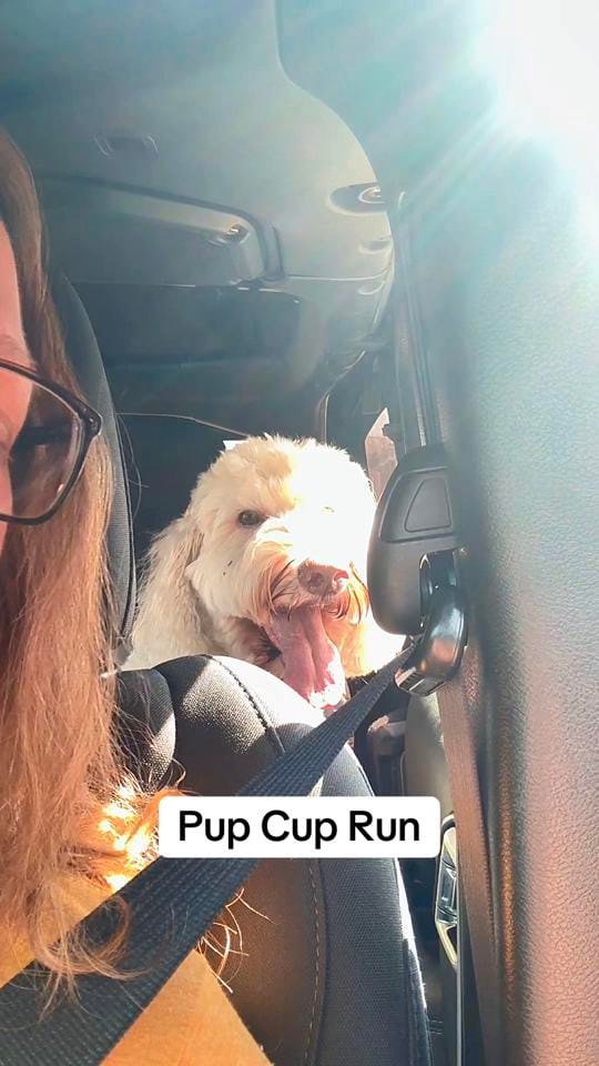 Post 7 by Leah Leggett on TikTok (video)