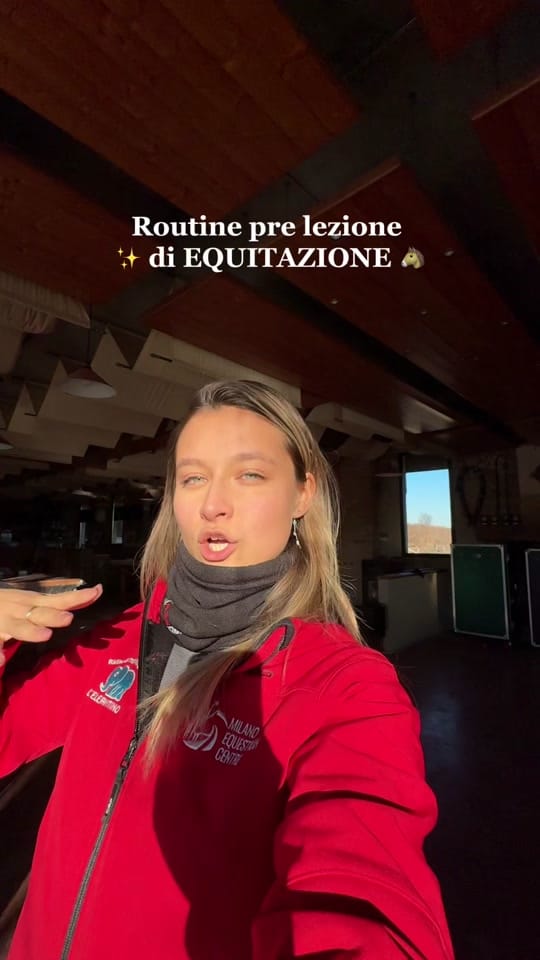 Post 8 by Virginia Tschang on TikTok (video)
