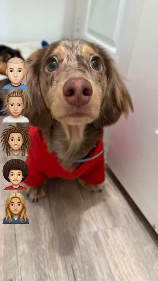 Post 4 by 𝑳☆ on TikTok (video)
