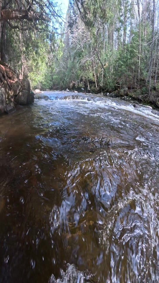 Post 7 by VG on TikTok (video)
