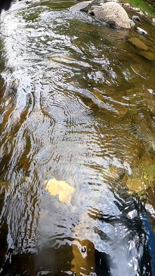 Post 10 by VG on TikTok (video)