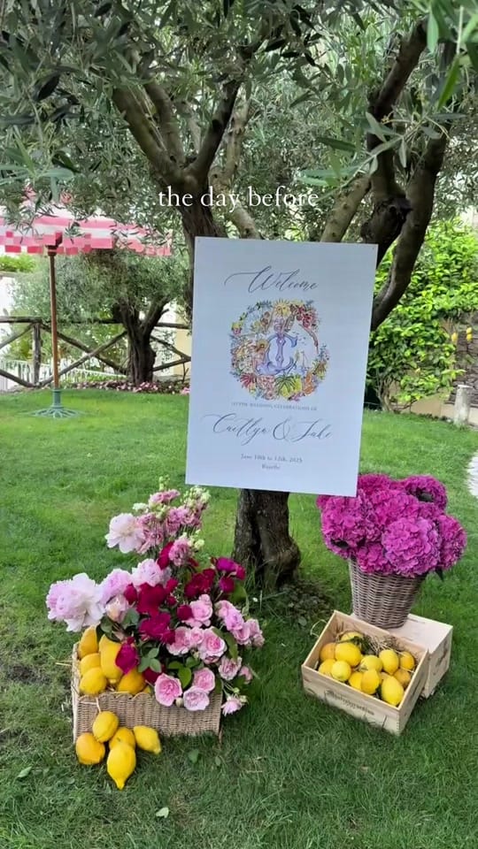 Post 7 by laurawillsphotography on TikTok (video)