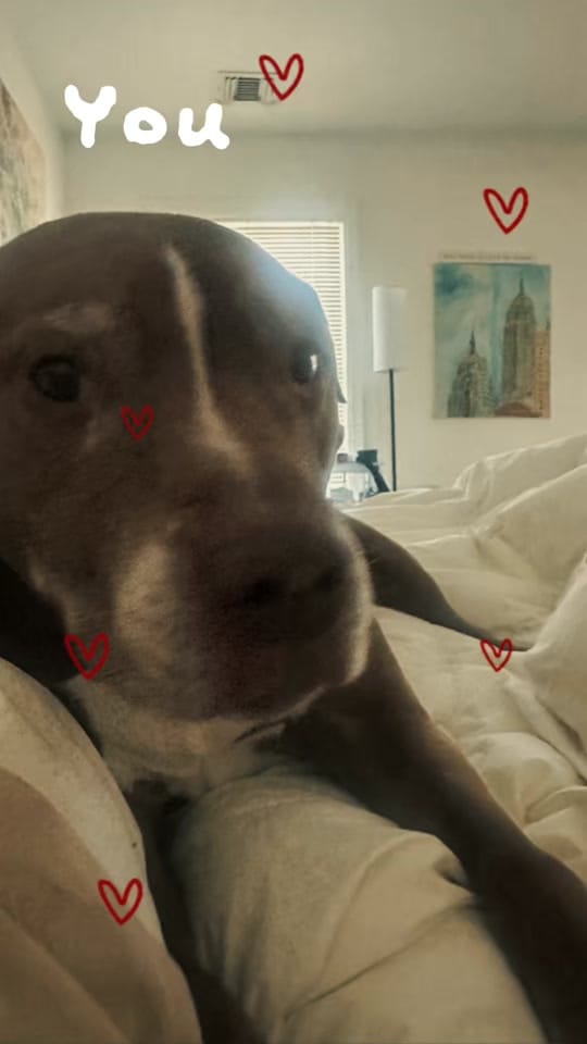 Post 1 by S Velez on TikTok (video)