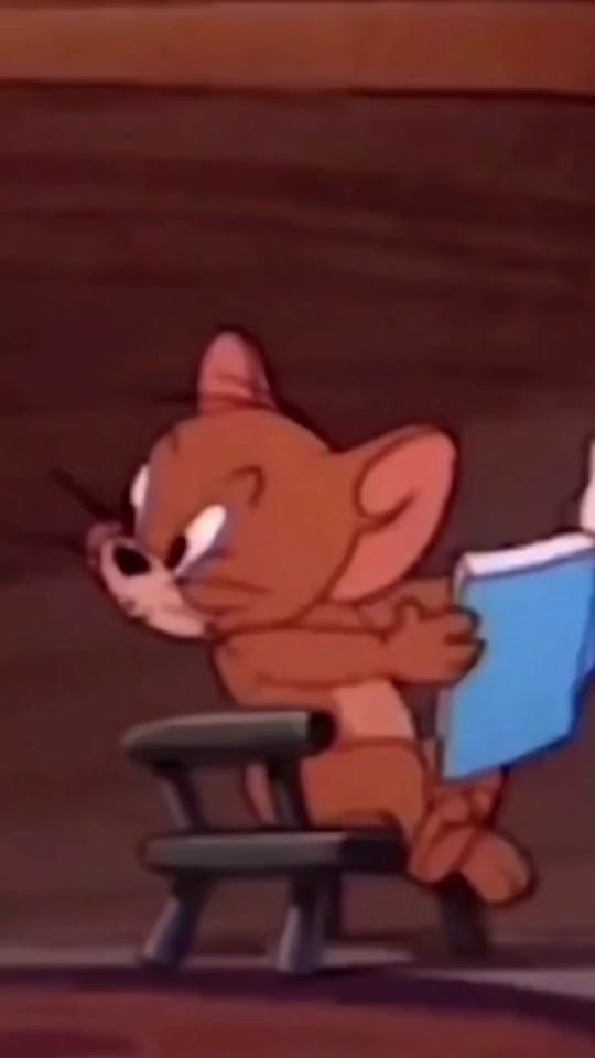 Post 8 by S Velez on TikTok (video)