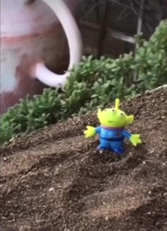 Post 3 by Mitchel Wu on TikTok (video)